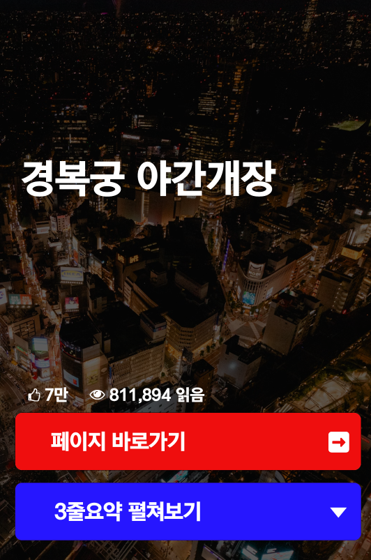 경복궁 야간개장
